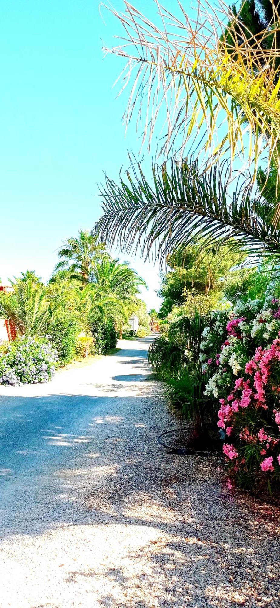 Happymobilhome Argeles-Sur-Mer -Plage A 500M- Camping 4 Etoiles Del Mar Extérieur photo